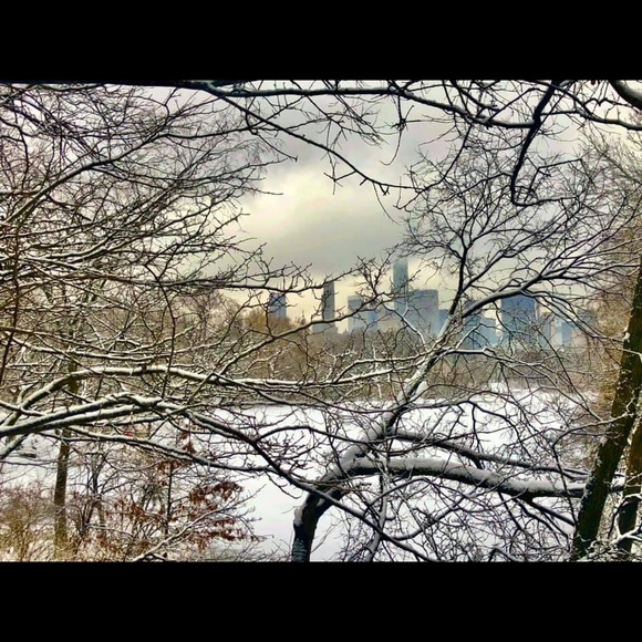 Meet your Poshers, City & Ocean Lovers - Picture 3 of 6